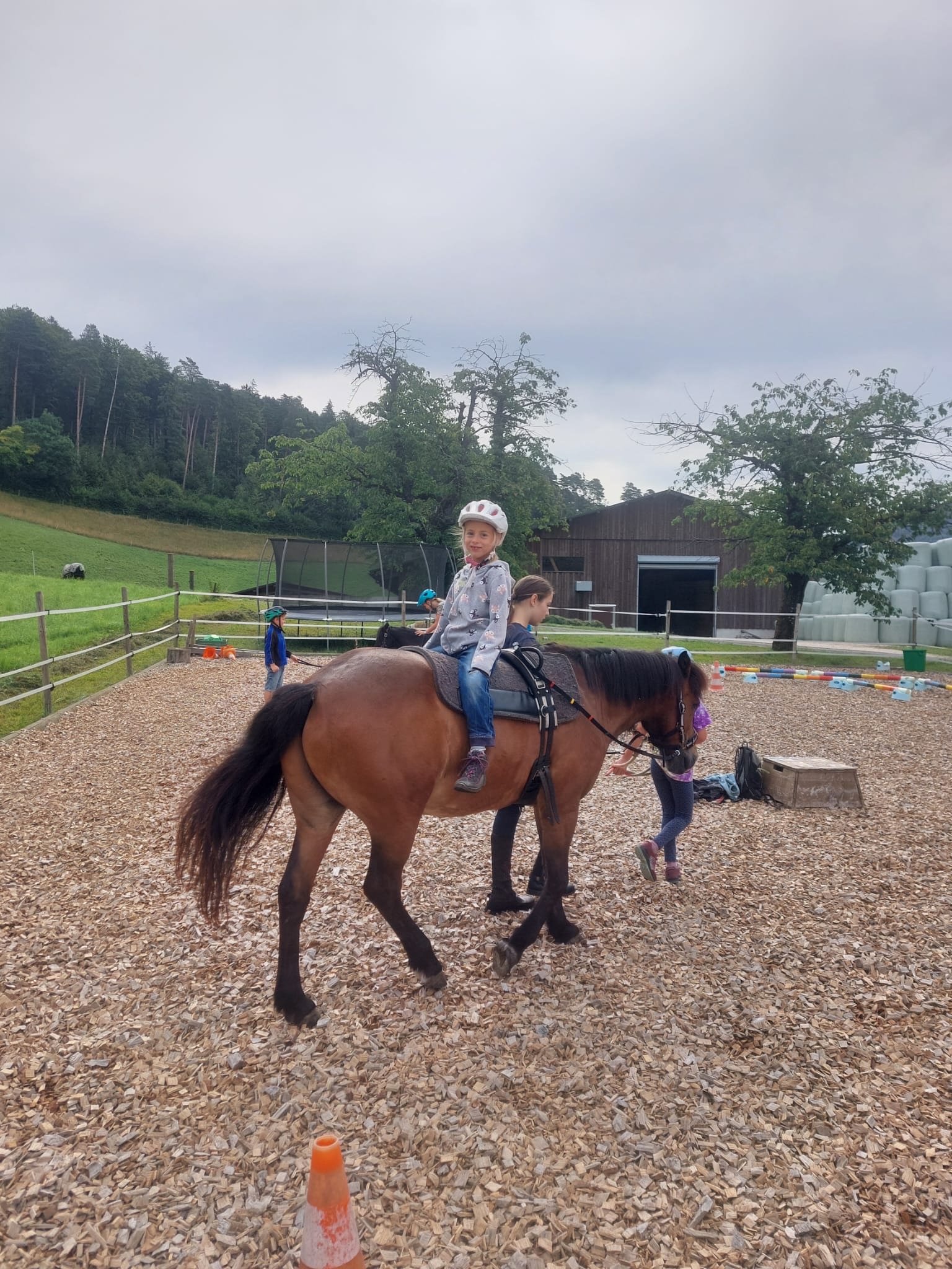 ...lebensfreude pferde...