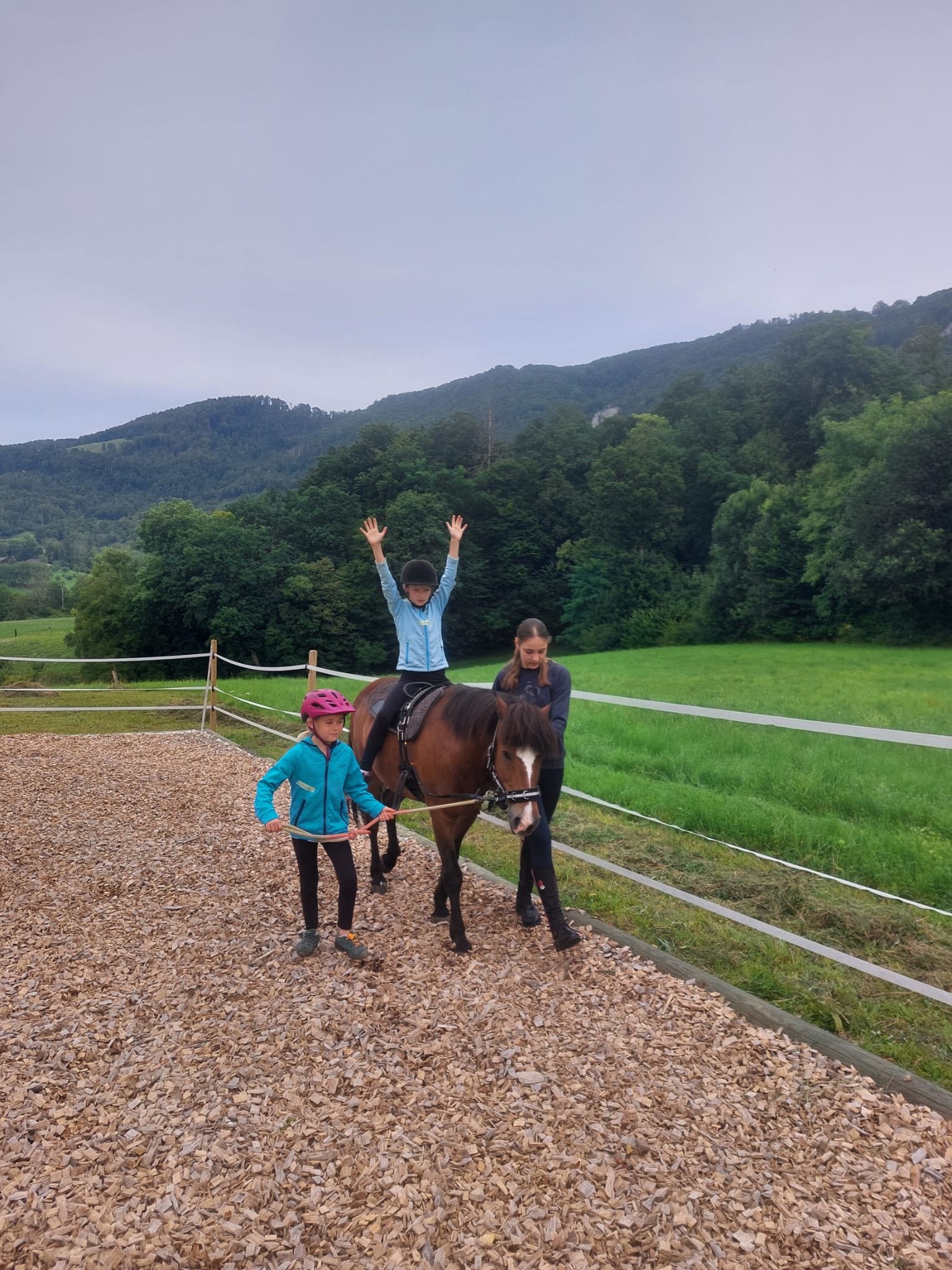 ...lebensfreude pferde...