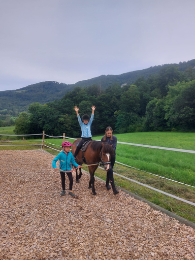 ...lebensfreude pferde...