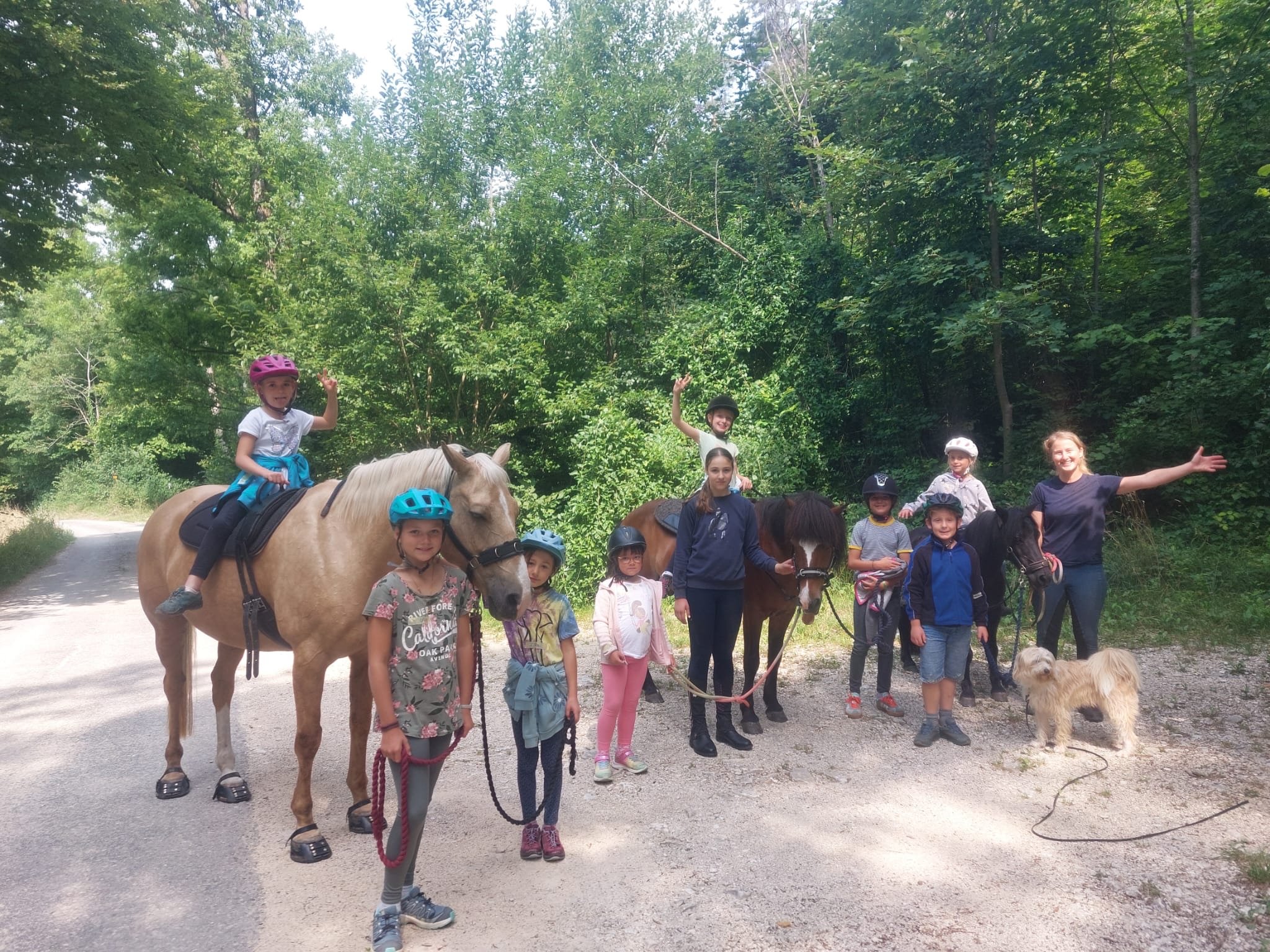 ...lebensfreude pferde...