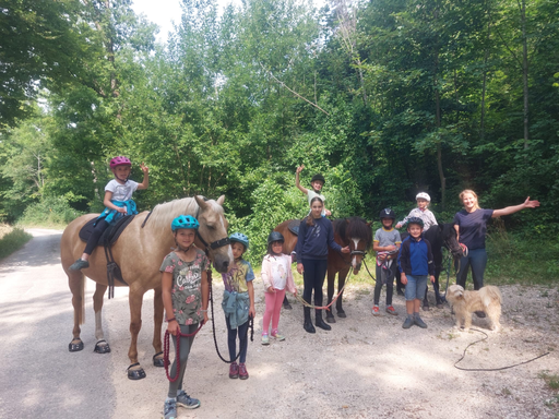 ...lebensfreude pferde...