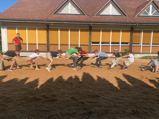 ...ab ins Sägemehl...