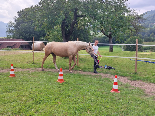 Reiten 2