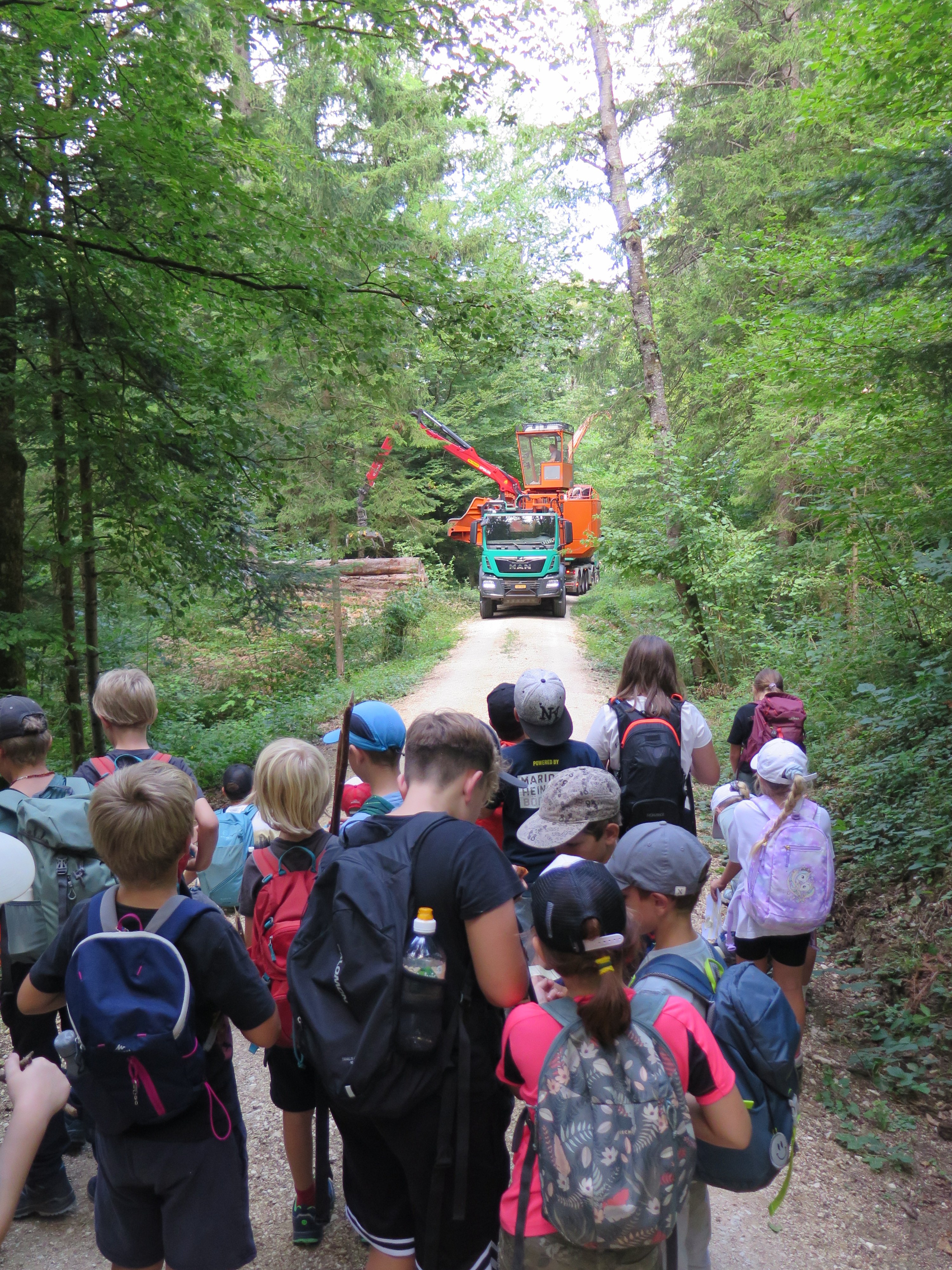 ...waldkrimi...