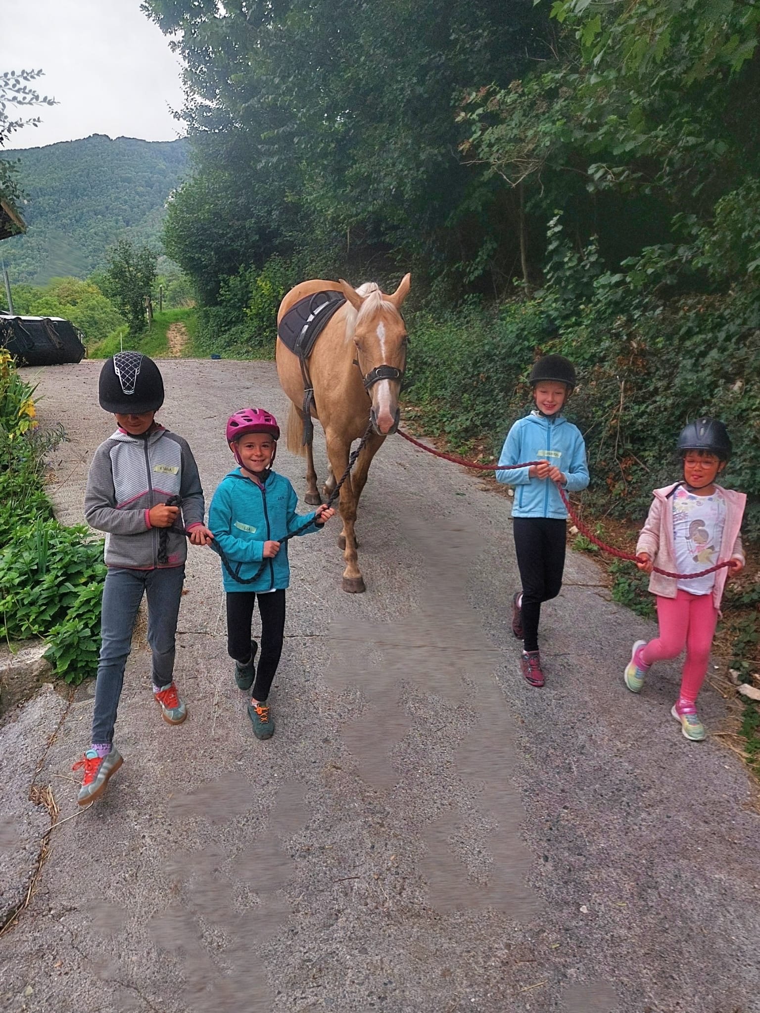 ...lebensfreude pferde...