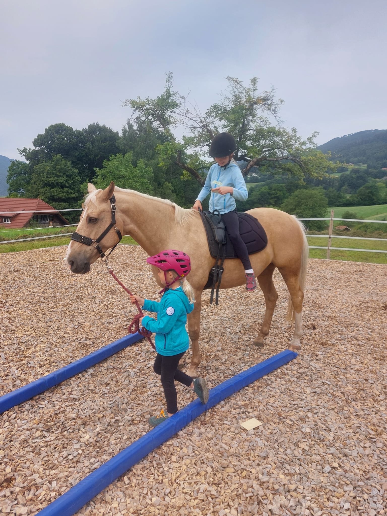 ...lebensfreude pferde...